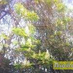 41310483_466977973796515_4807679051319738368_n