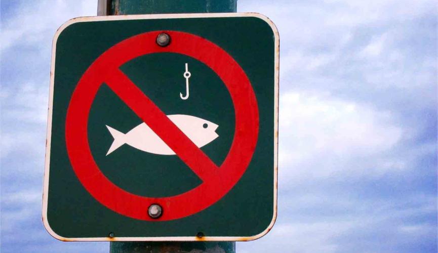 На території Любарського та Чуднівського районів виявлено 11 порушень правил рибальства