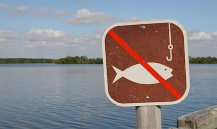 Нерест 2020: терміни заборони для Житомирських рибалок