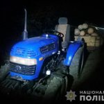 На Любарщині поліцейські затримали підпільних лісорубів