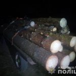 На Любарщині поліцейські затримали підпільних лісорубів