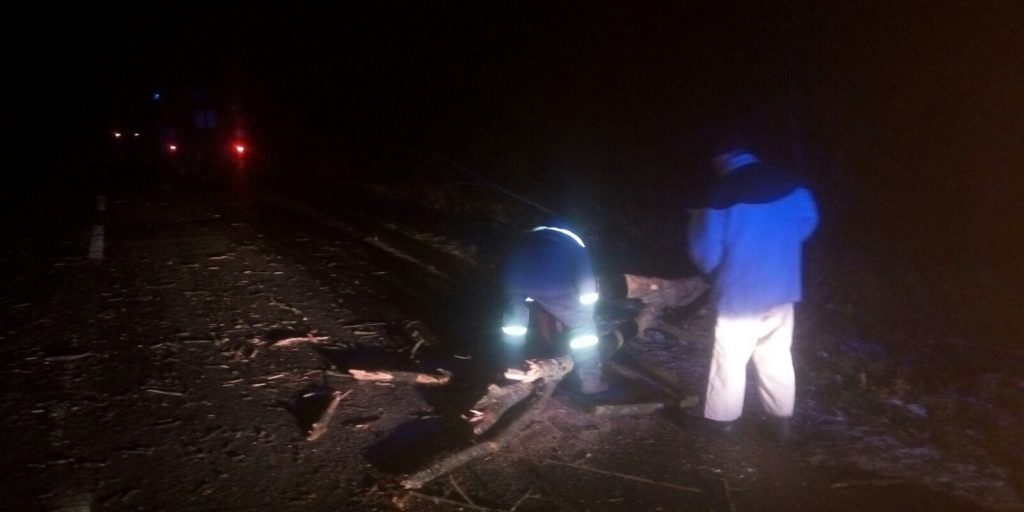 Рятувальники на Любарщині прибирали з дороги повалене вітром дерево