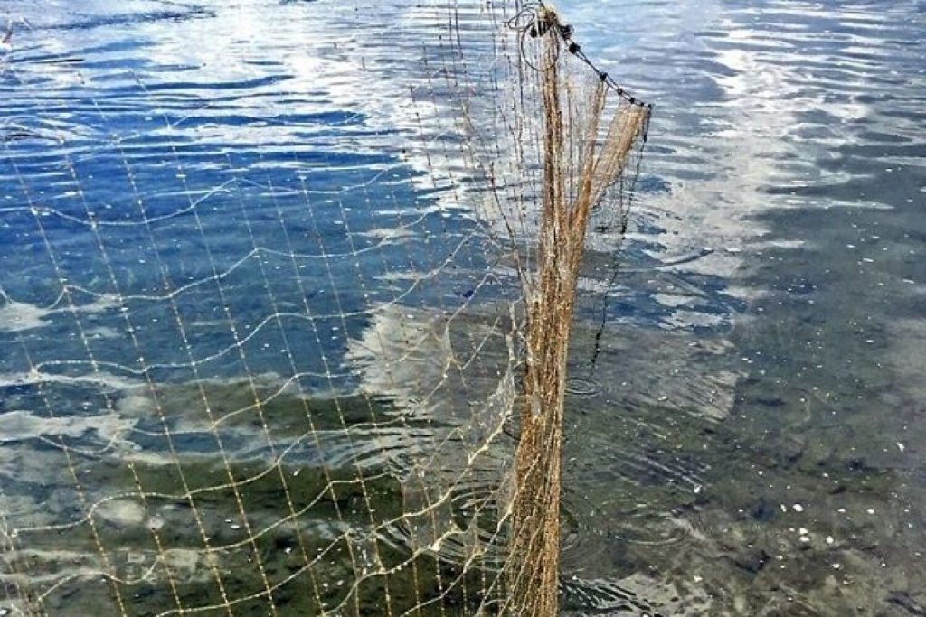 На Любарщині рибоохоронний патруль за квітень вилучив 25 одиниць заборонених знарядь лову