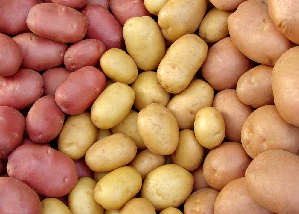 Україна за рік на третину скоротила імпорт картоплі
