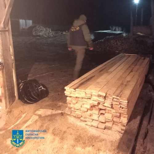 На Житомирщині незаконно вирубали майже півтори сотні цінних порід дерев