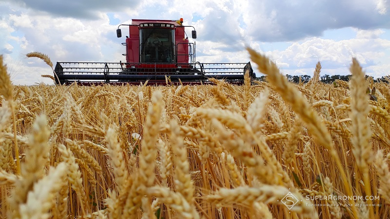 В Житомирській області аграрії розпочали збір озимих зернових