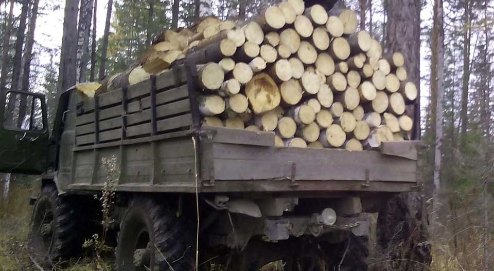 Підготовка до зими триває: українцям спростили процедуру закупівлі дров