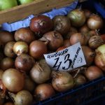 Ріст цін на продукти: експерти розповіли, чому на ринках Житомирщини подорожчала цибуля