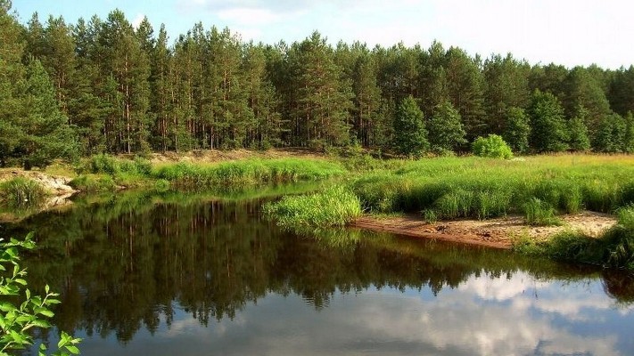 Заказник «Любарський» оголошено об’єктом природно-заповідного фонду місцевого значення