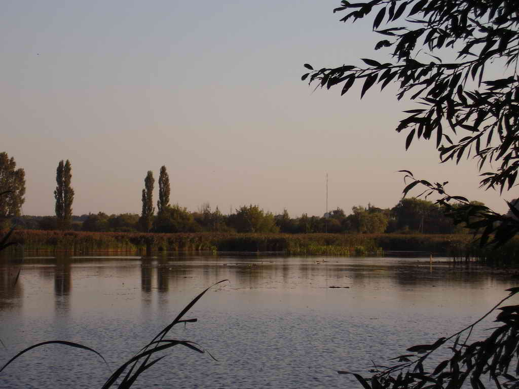 Зафіксовано забруднення річки Случ органічними й неорганічними сполуками