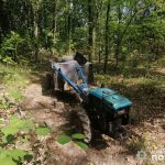 Поліцейські викрили причетного до незаконної порубки лісу в Любарській громаді