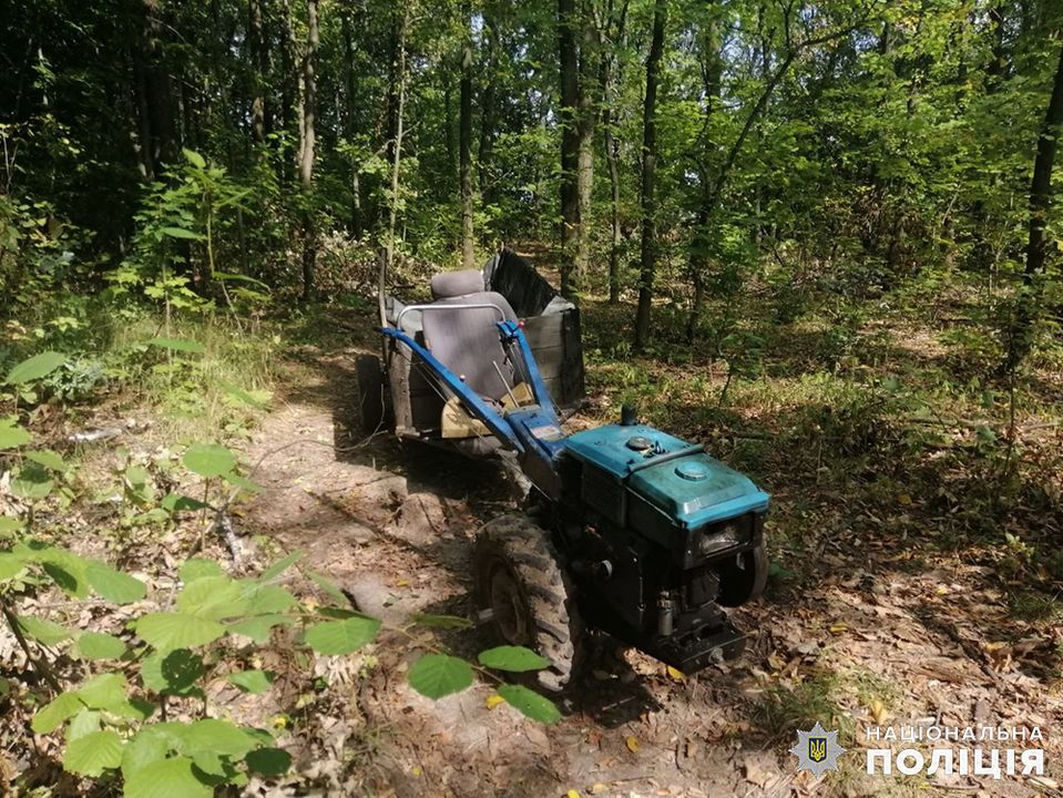 Поліцейські викрили причетного до незаконної порубки лісу в Любарській громаді
