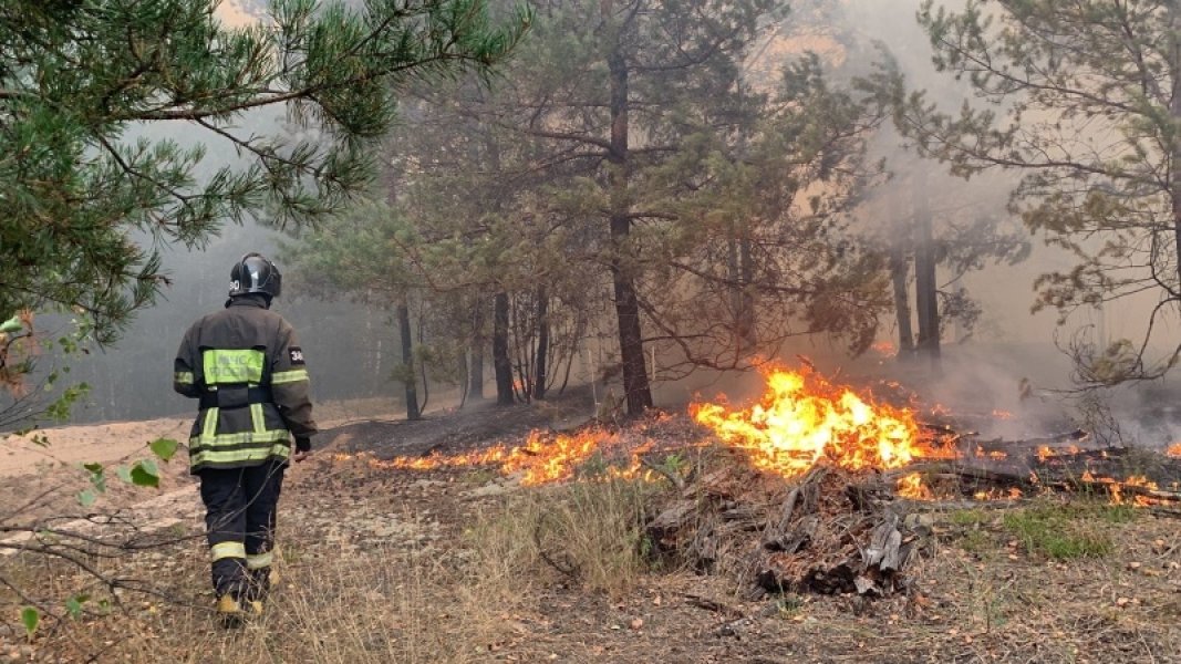 Надзвичайна пожежна небезпека - у наступні дні на Житомирщині
