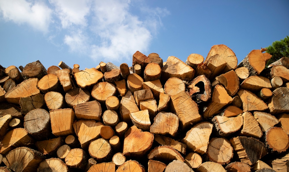 Українці зможуть отримати 16,2 тис. грн на дрова: деталі експериментального проєкту