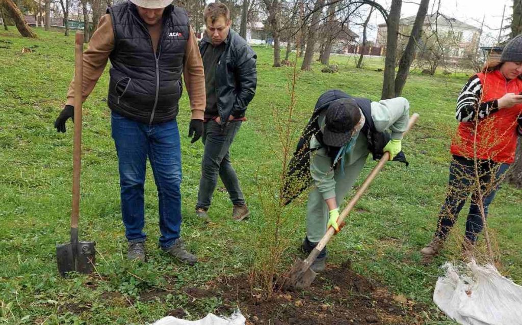 Молоді деревця висадили в Любарському Парку Слави