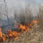 Житомирщина – лідер антирейтингу пожеж в екосистемах