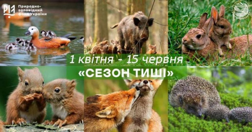 "Сезон тиші" стартував з 1 квітня: що заборонено робити в лісі