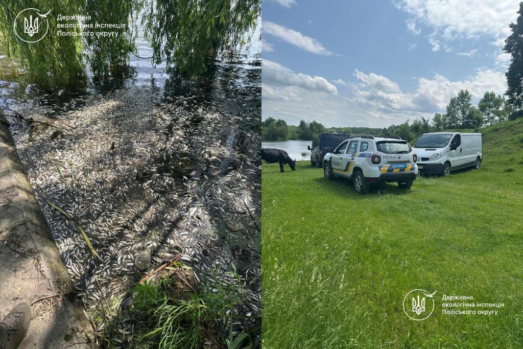 За фактом масової загибелі риби на території Любарської громади зареєстровано кримінальне провадження