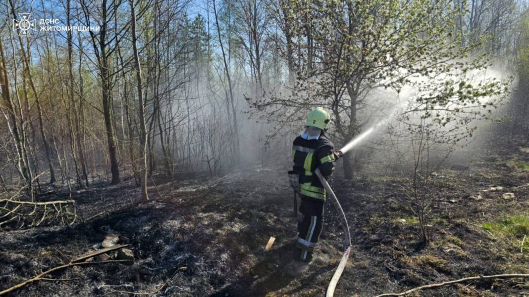 Пожежонебезпечний період: які штрафи за спалювання сухої трави