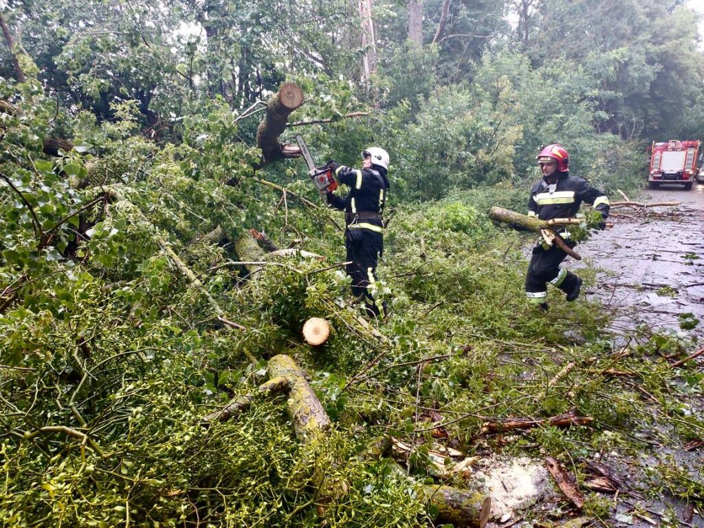 Повалені негодою дерева між Глезне та Перетік прибирали рятувальники