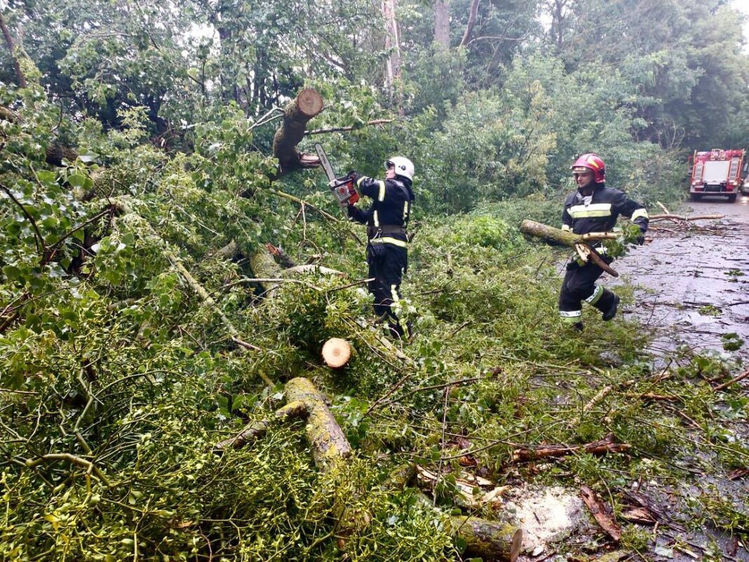 Повалені негодою дерева між Глезне та Перетік прибирали рятувальники