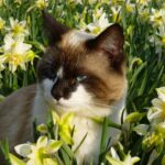 556093998_1865764667340688_5767976269508259504_n