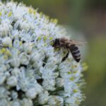 557620909_1865764777340677_4238278140579833734_n