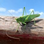 557639294_1865764644007357_3488209311824287097_n