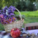 557932299_1865764794007342_7528913506846261564_n