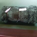 561841492_1924462181821549_5810141341103602575_n