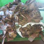 565786157_1924462445154856_1425676252350182069_n