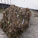 566347905_1924462405154860_400322450437509742_n