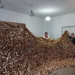 567319083_1484801202780200_8303232123203363211_n