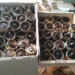 568254675_1484801042780216_2249799246640470658_n