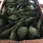 568683920_1484800472780273_1601497619157456154_n