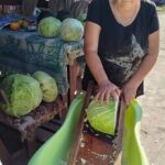 568700174_1484800679446919_6032695195425600954_n