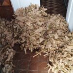 569080625_1484801066113547_1839675077646245445_n