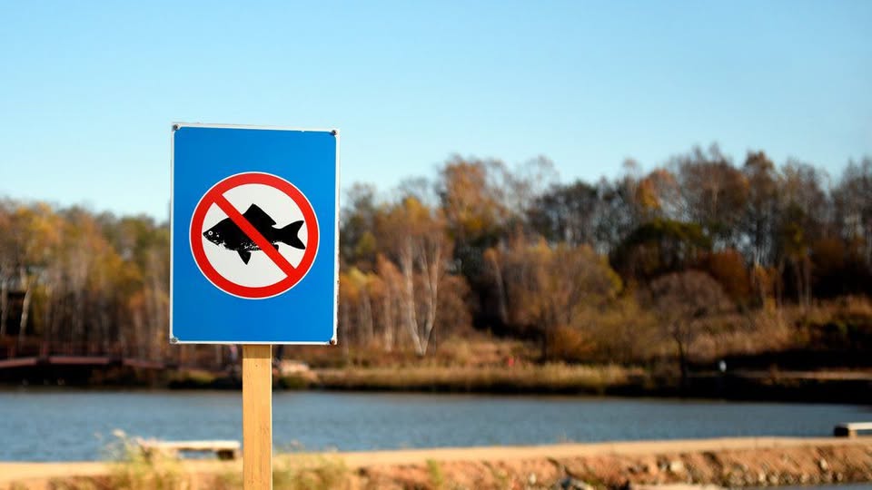 Перелік меж зимувальних ям у рибогосподарських водних об’єктах Житомирського району