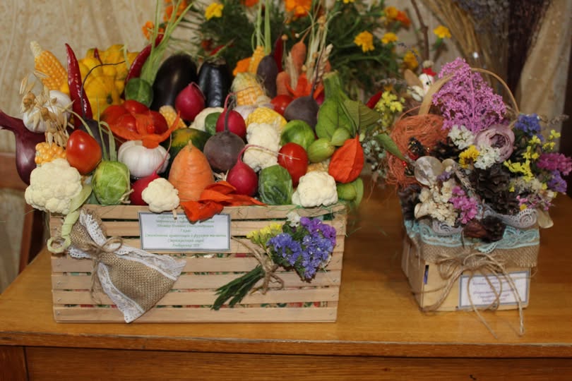 Перемоги учнів Стрижівського ліцею в обласному конкурсі